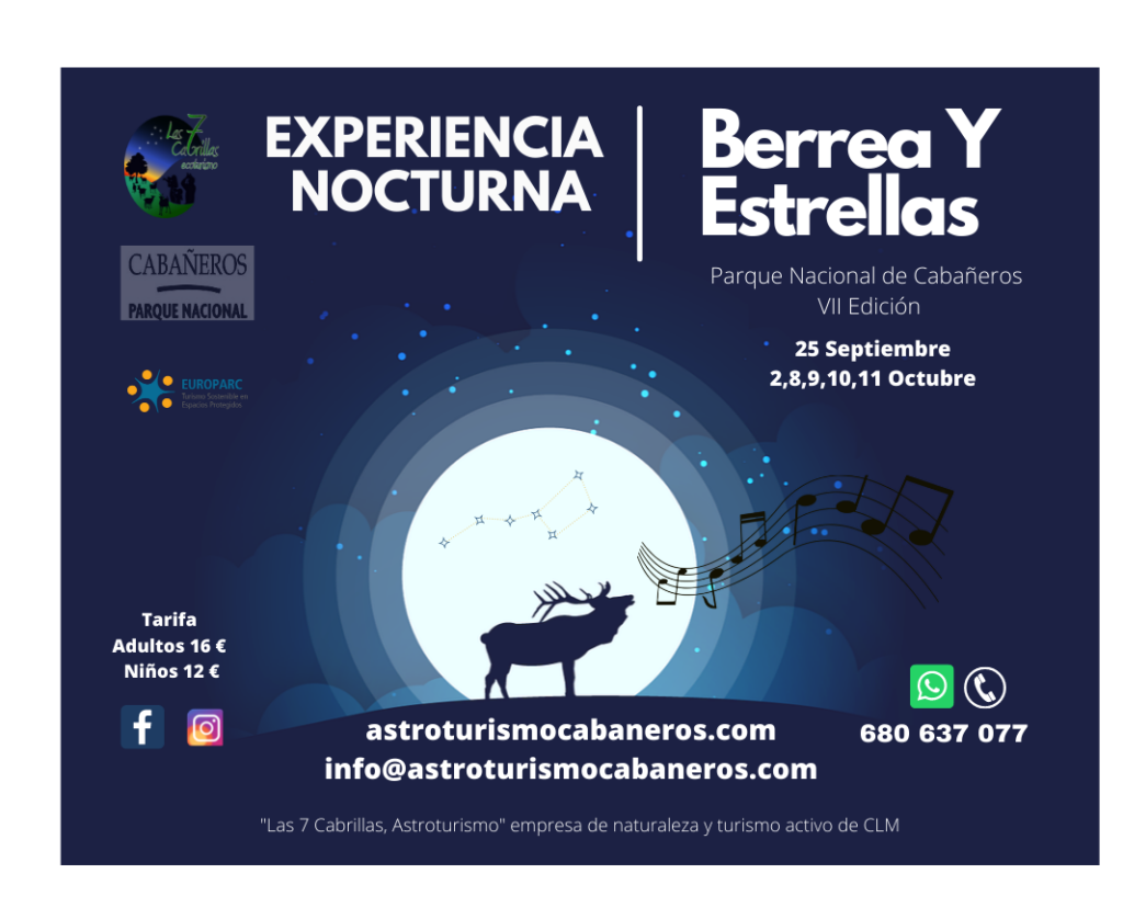 berrea y estrellas 3