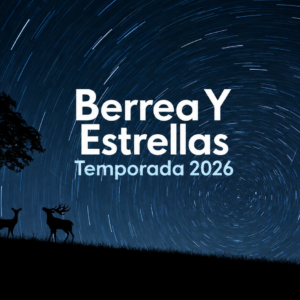 si errea y estrellas